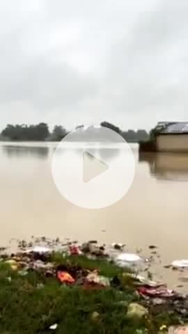 परिहार: मरहा-हरदी नदी में उफान, परिहार में बाढ़ का खतरा