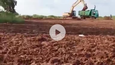 बीना: ग्राम पंचायत बेसरा कसोई के गांव में मोरम का अवैध खनन, एसडीएम बोले कार्रवाई करेंगे