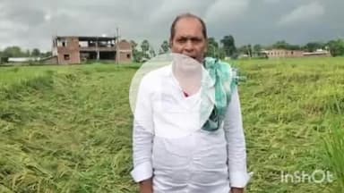 बखरी: बखरी प्रखंड के डरहा में आंधी-तूफान और बारिश से किसानों को भारी नुकसान, जिलाधिकारी से मदद की गुहार
