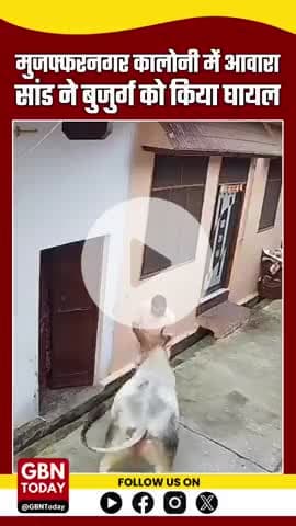 मुजफ्फरनगर में आवारा सांड ने बुजुर्ग पर किया हमला, वीडियो वायरल #gbntoday
#Muzaffarnagar #StrayBull #BullAttack #Animal