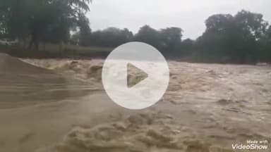 बेगमगंज: लगातार बारिश से नदी-नाले उफान पर, खेत में रखी सोयाबीन की कटी फसल बर्बाद