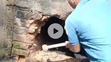 महू कोदरिया स्थित कॉलोनी के चेंबर में गिरी गाय, रेस्क्यू कर उसे बाहर निकाला गया