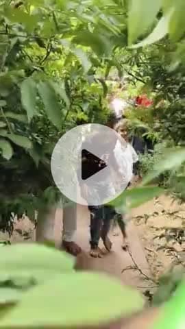 बरसाना परिक्रमा करते भारतीय किसान संघ जिलाध्यक्ष शिव मोहन गिरि। #shivmohangiri