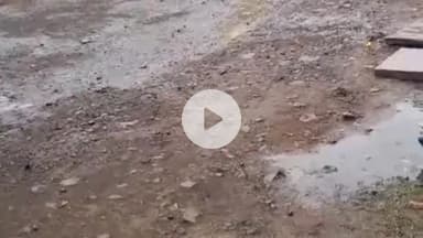 बासोदा: बासौदा में बेमौसम बारिश से सोयाबीन की फसल को नुकसान, किसान चिंतित