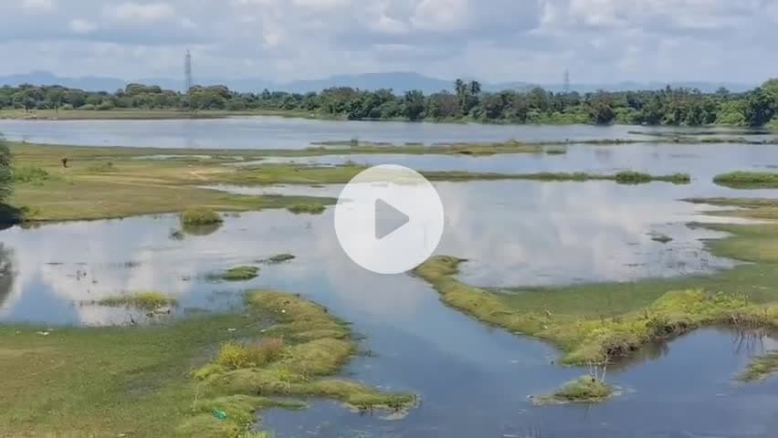 சேத்துப்பட்டு: அருந்ததி பாளையத்தைச் சேர்ந்த ஒரே குடும்பத்தைச் சேர்ந்த அண்ணன் தம்பி ஏரியில் மீன் பிடிக்கச் சென்றபோது தவறி விழுந்து உயிரிழப்பு