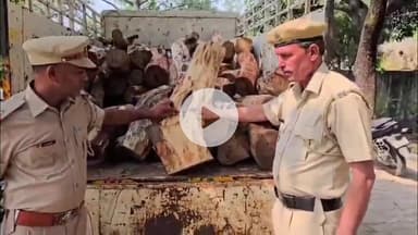 छछरौली: छछरौली में वन और वन्यजीव विभाग की टीम ने खैर से लदा एक टैंपू पकड़ा