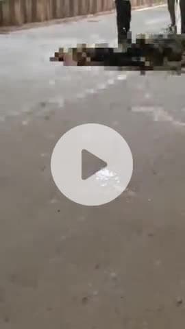 करछना: आईटीआई गेट के पास अज्ञात वाहन की टक्कर से बाइक सवार युवक की मौत, पुलिस ने शव पोस्टमार्टम के लिए भेजा, जांच जारी