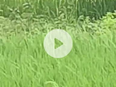 thoda Simar ka kisanon ke kheti karne Ja Raha