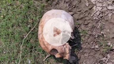 दीगोद: दीगोद थाना इलाके की देवपुरा नहर में मिला मानव सिर का कंकाल, मचा हड़कंप, पुलिस करवा रही पोस्टमार्टम