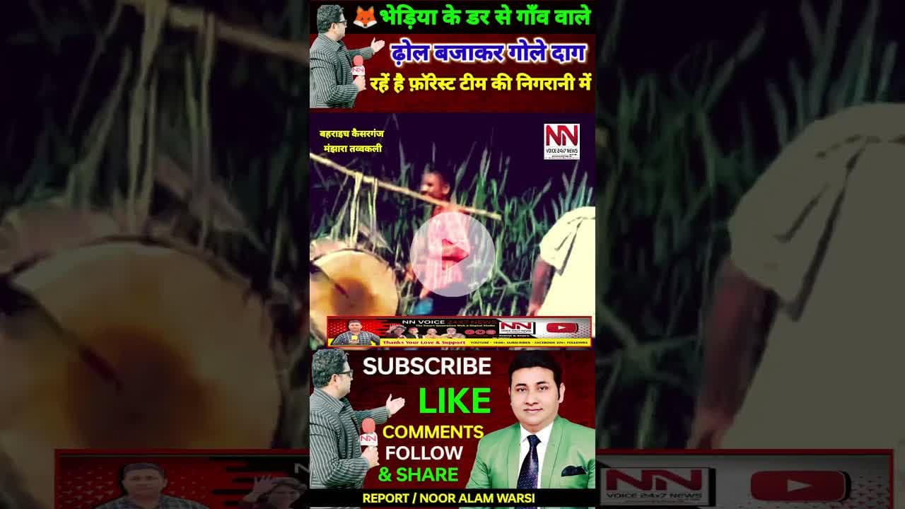 भेड़िया के डर से लोग ढ़ोल बजाकर गोले दागकर रातों में जाग रहें है फ़ॉरेस्ट टीम की निगरानी में ! #bhediya