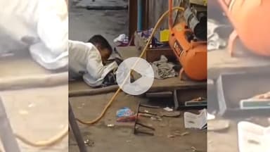 खंडवा नगर: खंडवा बीजेपी दफ़्तर के पास निकला सांप, हड़कंप मचा, कंप्रेसर मशीन के नीचे बैठा था सांप