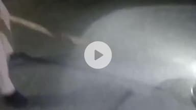 फरेंदा: ग्राम सभा रामनगर में घर से निकला विशालकाय अजगर, पुलिस और वन विभाग ने किया रेस्क्यू और जंगल में छोड़ा