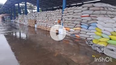 चरखी दादरी: च.दादरी अनाज मंडी में बारिश से भीगा खुला बाजरा, खराब होने की आशंका