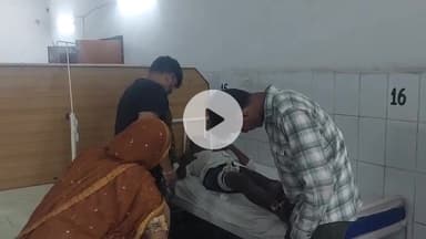 बीसलपुर: गांव गोरा में पशुओं के लिए चारा लेने गए युवक को सांप ने डंसा, अस्पताल में कराया भर्ती