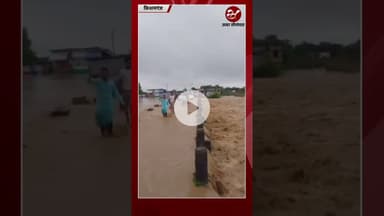 किशनगंज में बाढ़ से हाहाकार, भाटाबाड़ी पुल पर चढ़ा पानी #shorts #biharflood #kishanganj