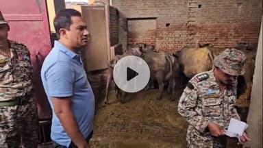 कोल: सासनी गेट की डेयरियों में नगर आयुक्त ने निरीक्षण कर दिए कार्रवाई के निर्देश, 30 डेयरियों पर ₹50 हजार का जुर्माना लगेगा