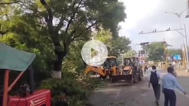 ગાંધીનગર: ગાંધીનગર શહેરમાં વરસાદને કારણે શહેરના સેકટર 11 ખાતે આવેલ પ્રથિકાશ્રમ સર્કલ નજીક વૃક્ષ ધરાશયી