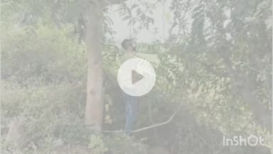 मालथोन: मालथौन क्षेत्र के इमलिया गांव में युवक ने फांसी लगाकर की आत्महत्या, पुलिस जांच में जुटी