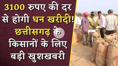 CG Dhan Kharidi: 3100 रुपए की दर से होगी धन खरीदी! छत्तीसगढ़ के किसानों के लिए बड़ी खुशखबरी