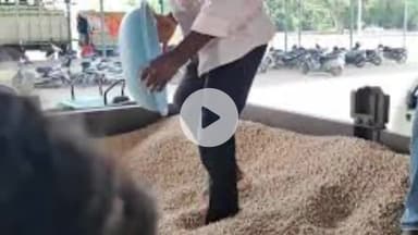 खंडवा नगर: खंडवा: भावांतर में 'भाव' नहीं होने से सोयाबीन बिक्री में कम रुचि, अब कपास नीलामी पर किसानों की निगाहें