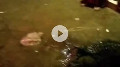 लाडपुरा: कैथून में मस्जिद के पास दिखा मगरमच्छ, वन विभाग ने सुरक्षित रेस्क्यू कर नदी में छोड़ा