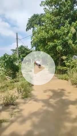 अपना माधोपुर कटरा मुजफ्फरपुर में