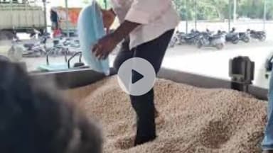 खंडवा नगर: भावांतर पर सोयाबीन बेचने में किसानों की रुचि कम, खंडवा में अब तक केवल 355 पंजीयन, बुधवार से शुरू होगी कपास की नीलामी