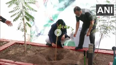 Planted a Sidr sapling at Embassy of India, Doha premises as part of PM Narendra Modi ji's #EkPedMaaKeNaam initiative.