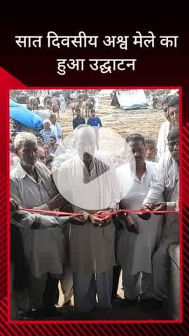 सरधना: मंढयाई पशु पैठ के मैदान में सात दिवसीय अश्व मेले का उद्घाटन, दूर-दराज से घोड़ा खच्चर व्यापारी पहुंच रहे हैं