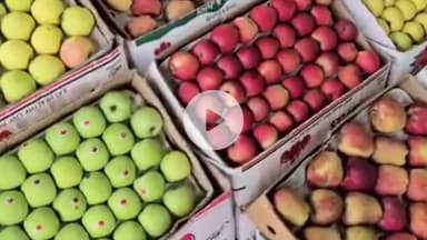 सोलन: सोलन सेब मंडी में किन्नौर के सेब के दामों में तेजी आई