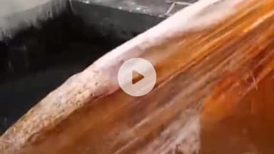 गाज़ीपुर: जमसड़ा गांव में हैंडपंप और ट्यूबवेल से निकल रहीं मछलियां, बनी ग्रामीणों के बीच चर्चा का विषय