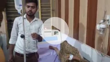 पट्टी: घोसियान मोहल्ले की किशोरी को जहरीले सांप ने काटा, सीएचसी में कराया गया भर्ती