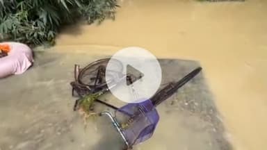 परिहार: महुआबा में पानी में बहा व्यक्ति अभी तक लापता, साइकिल मिली