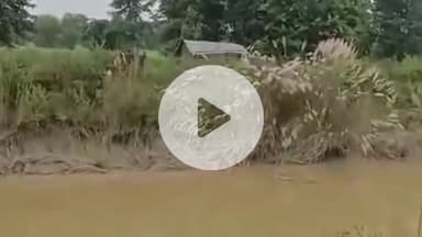 खड्डा: कोहर गड्डी नहर से मिला अज्ञात व्यक्ति का शव, क्षत-विक्षत हालत में मिलने से मचा हड़कंप, पुलिस शिनाख्त में जुटी