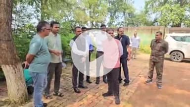 आरंग: नवा रायपुर स्थित जंगल सफारी की बाघिन को इलाज के लिए जामनगर भेजा गया