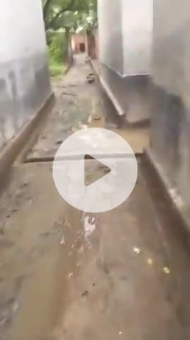 जिला अलीगढ़ 
तहसील खैर 
ग्राम महगौरा 
जातिवाद के चलते प्रधान ने नहीं बनवाया@ जाटव समाज में कोई भी गली #aligarh