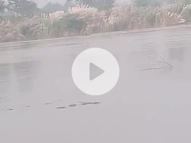 Purvi Champaran garm manpurwa ka bhude nadi  ka pani bahut teji se