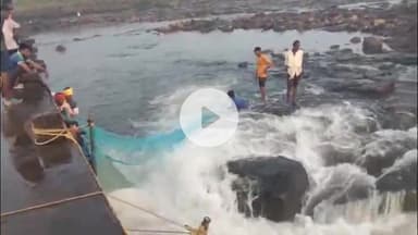 छपारा: संजय सरोवर भीमगढ़ बांध के गेट बंद होने से निचले इलाके में मछली पकड़ने की मची होड़, वीडियो वायरल