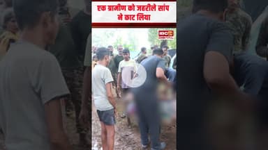 Bijapur: CRPF के जवानो ने पेश की मावता की मिसाल, सांप के डसने पर पीड़ित को पहुंचाया अस्पताल #cgnews