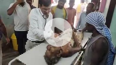 झाझा: शैर गांव में खेत में गिरने के बाद बुजुर्ग किसान की हुई मौत, परिजनों में पसरा मातम