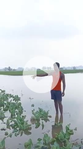 bikramganj Rohtas Bihar
Nonhar Dhodhan dih