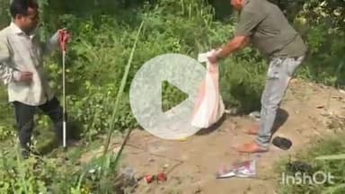 औरैया: प्रेमानंद आश्रम के पास तारों में फंसा विशालकाय ‘घोड़ा पछाड़’ सांप, वन विभाग की टीम ने उसे सुरक्षित मुक्त कराया