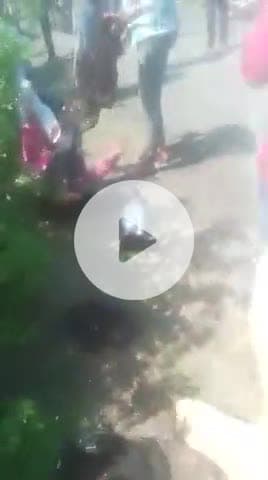 खबर शिवपुरी जिले से है जहां एक ट्रैक्टर ने दो लोगों को भारी गुरुओं से कुचला एक लाख की मौत हो गई है एक भर्ती है झांसी में