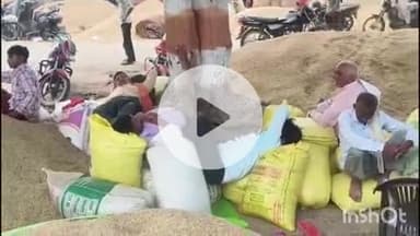 कोल: धनीपुर मंडी क्षेत्र में धान की आवक के दौरान सैकड़ों किसानों और राहगीरों को असहनीय परेशानियों का सामना करना पड़ रहा है