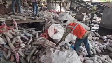 कोल: नगर आयुक्त ने ₹90 लाख से अधिक के प्रतिबंधित उत्पादों को A2Z प्लांट में कराया नष्ट, दी चेतावनी