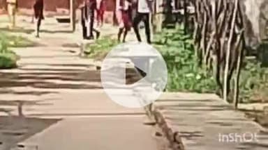 चकाई: गंगटी गांव में जमीन विवाद को लेकर दो पक्षों के बीच जमकर मारपीट, पथराव के बाद चली गोली