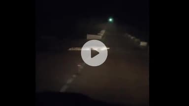 झांसी: बबीना जा रहे किसान की बोलेरो के आगे बेतवा नदी के पास सड़क पर आया विशाल मगरमच्छ, वीडियो हुआ वायरल