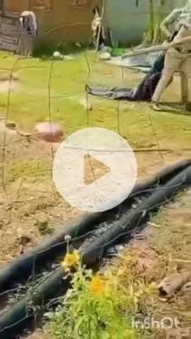 टोंक: जिले के जरेली गांव में वन विभाग की जमीन से अतिक्रमण हटाते समय पुलिसकर्मियों ने महिला को घसीटा, वीडियो हुआ वायरल