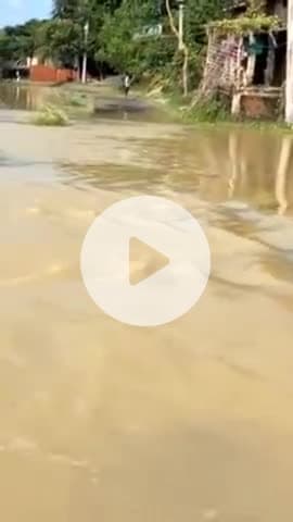 परिहार: महुआवा गांव में चार दिन बाद भी नहीं सुधरे हालात, बाढ़ के पानी में डूबा जनजीवन