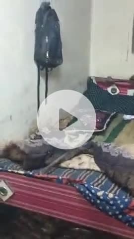 pandhana .rustampur me der ratri sap nikla siken nekar ne shurchi pakda